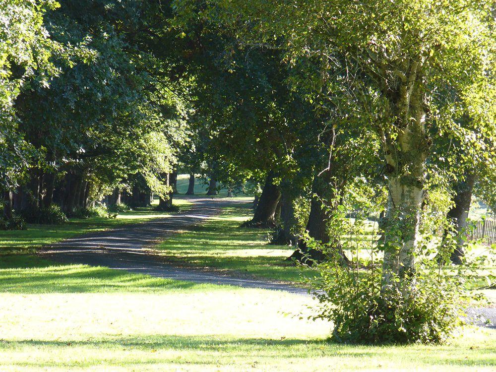 Oak Lane Lodge Hamilton Luaran gambar