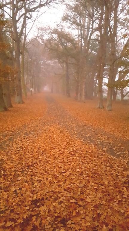 Oak Lane Lodge Hamilton Luaran gambar