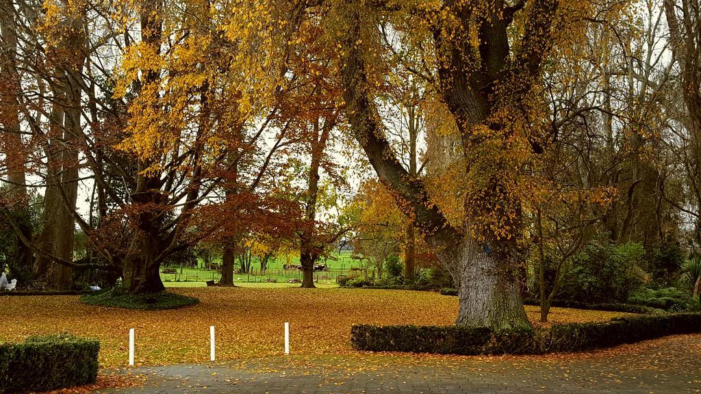 Oak Lane Lodge Hamilton Luaran gambar